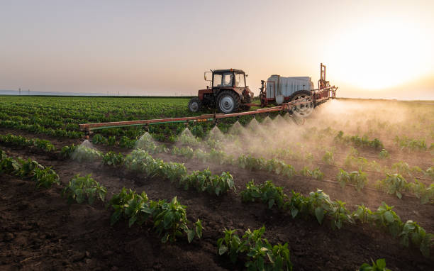 Best Commercial Pest Control Services  in Ozark, MO