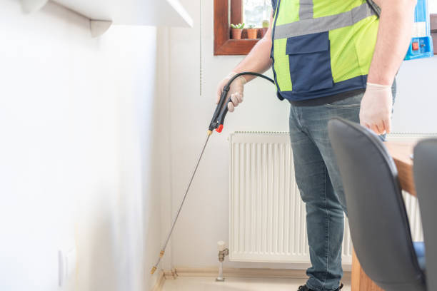 Professional Pest Control in Ozark, MO