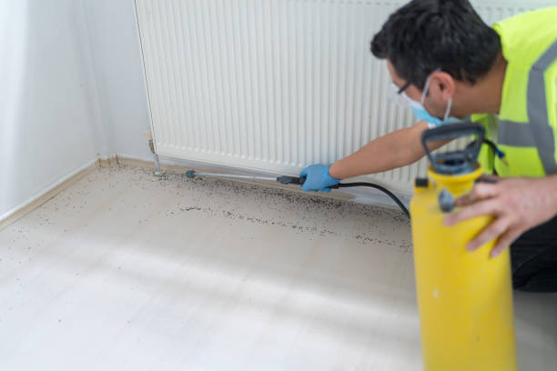 Best Pest Prevention Services  in Ozark, MO